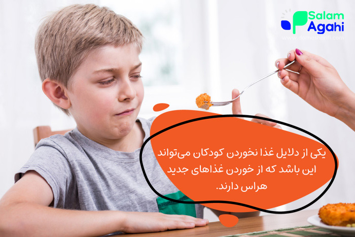 هراس از خوردن غذاهای جدید؛ دلیل لجبازی کودکان در غذا خوردن