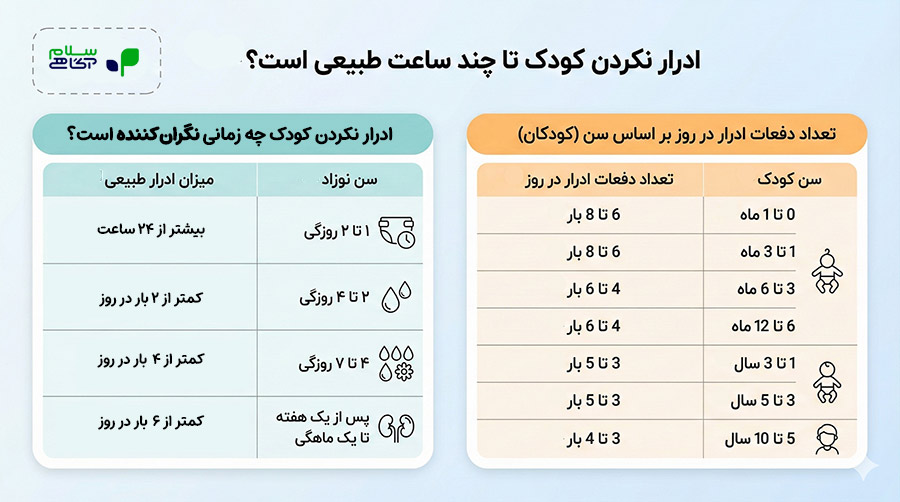 اینفوگرافیک ادرار نکردن کودک تا چه زمانی طبیعی است؟