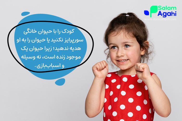 حیوان خانگی برای کودکان مانند یکی دیگر از اسباب‌بازی‌هایشان نیست و کودک باید فرق بین این دو را بیاموزد.