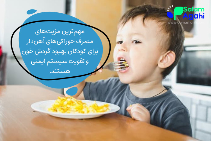 مزایای مصرف مواد غذایی آهن دار برای کودکان