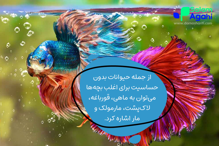 انواع حیوان خانگی بدون حساسیت برای کودکان
