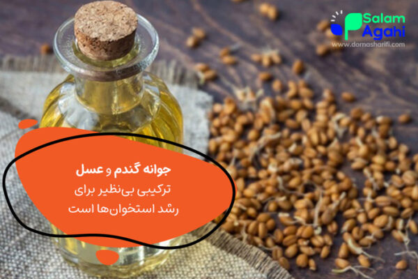 معجون رشد کودک با جوانه گندم و عسل