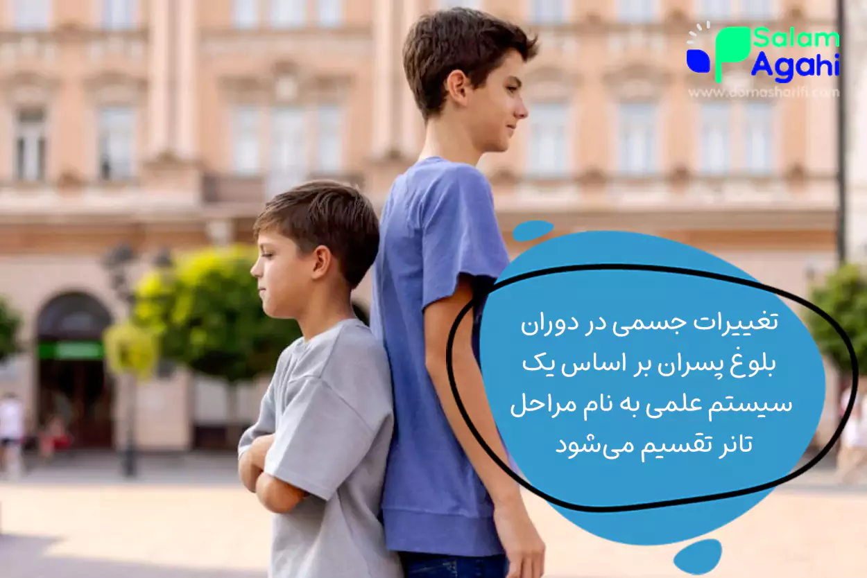 مراحل بلوغ پسران؛ از جرقه اول تا تکامل (مراحل تانر)